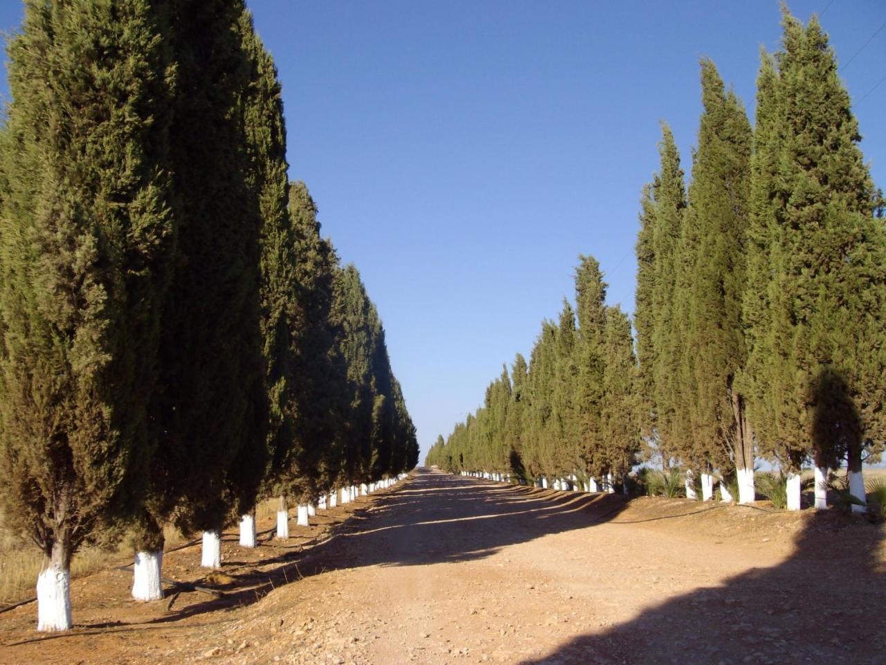 Cortijo Ferradores Humilladero Exteriér fotografie