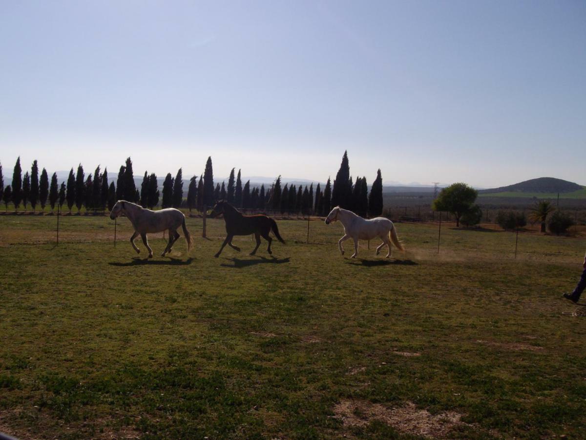 Cortijo Ferradores Humilladero Exteriér fotografie